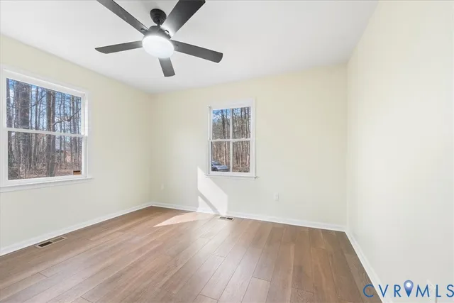 a ground with large trees