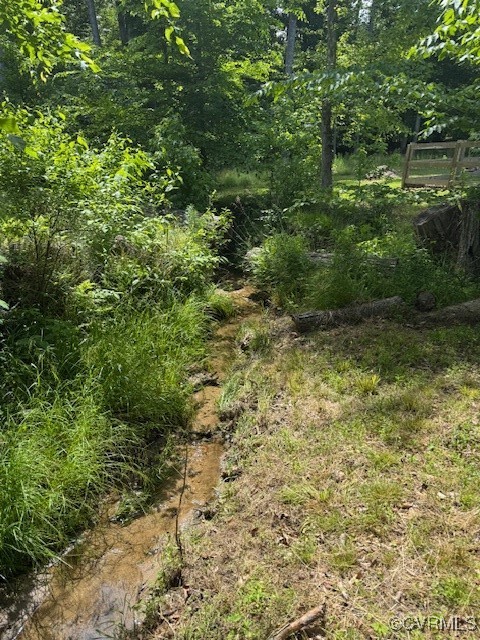 1629 Olmstead Drive Powhatan, VA 23139 - Photo 47 of 50 a view of outdoor space and trees