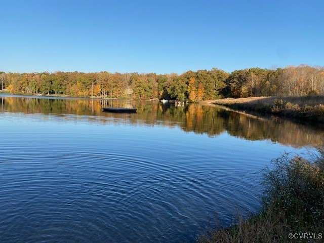 1629 Olmstead Drive Powhatan, VA 23139 - Photo 48 of 50