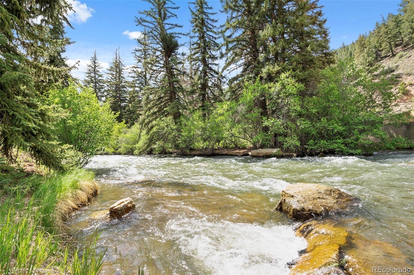 112 Mountain Drive Shawnee, CO 80475 - Photo 12 of 12 a view of a yard with plants and trees