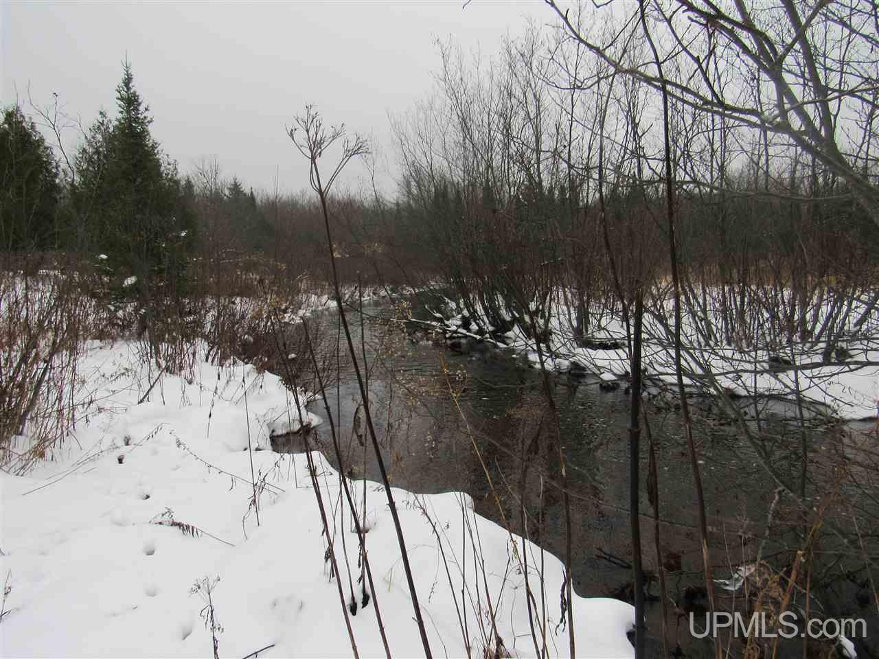 Tbd Johnson Creek Road Chatham, MI 49816 - Photo 15 of 28 Gallery Image 15