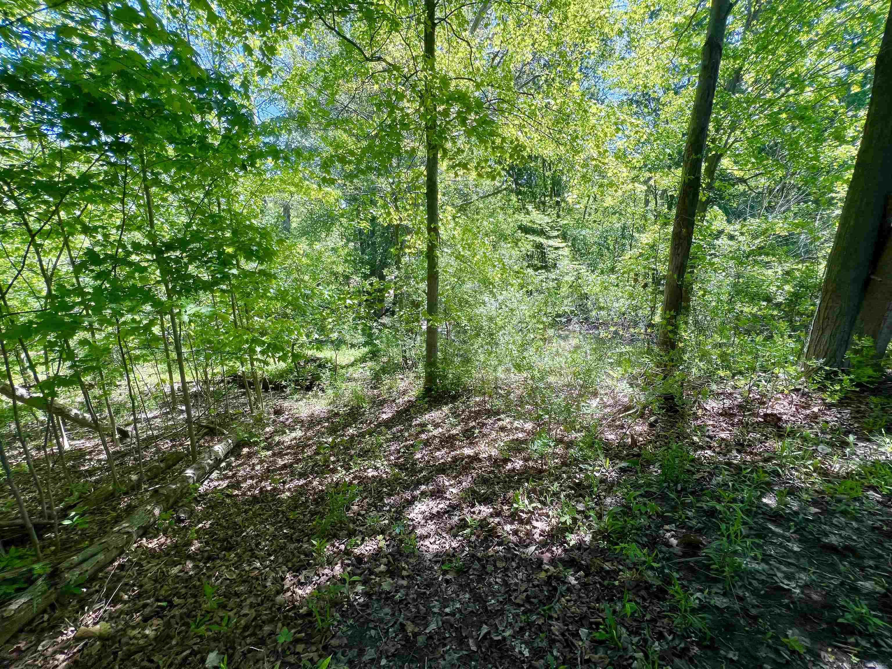 3747 Westrick Road East China, MI 48054 - Photo 12 of 99
