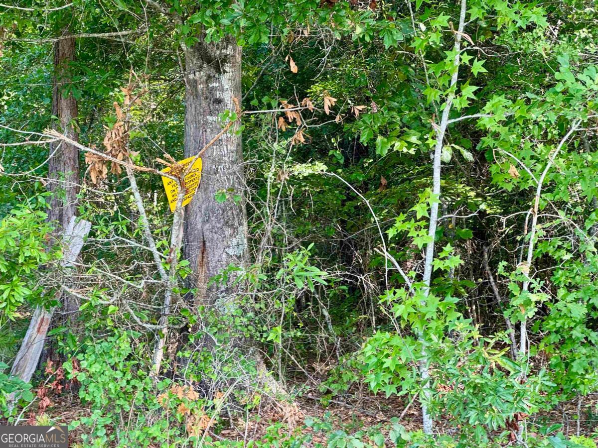 0 Springfield / Turner Road Union Point, GA 30669 - Photo 8 of 34