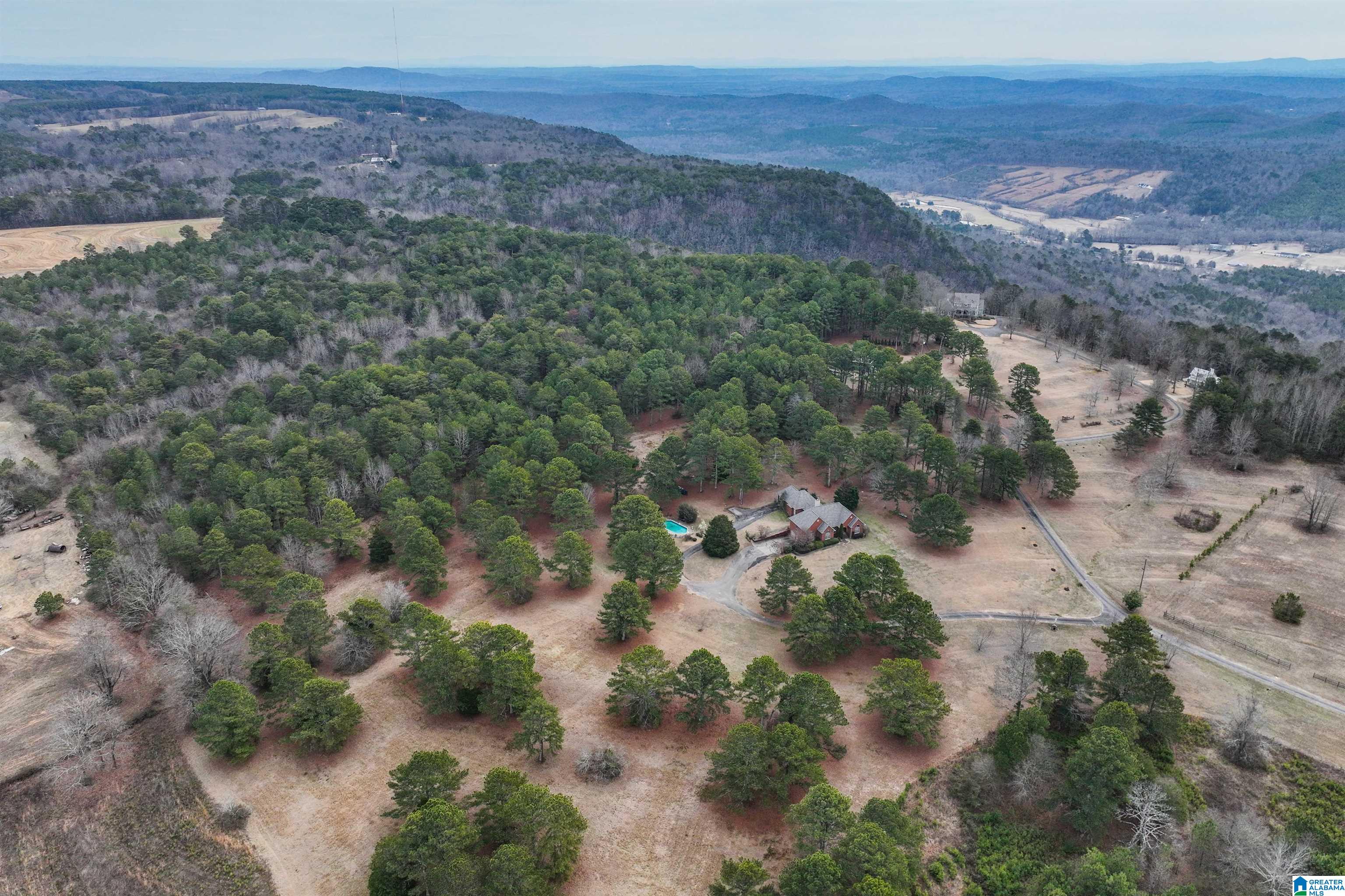 275 Timber Ridge Drive Springville, AL 35146 - Photo 79 of 80