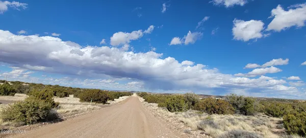 $22,500 | 56 County Road, Concho, AZ 85924