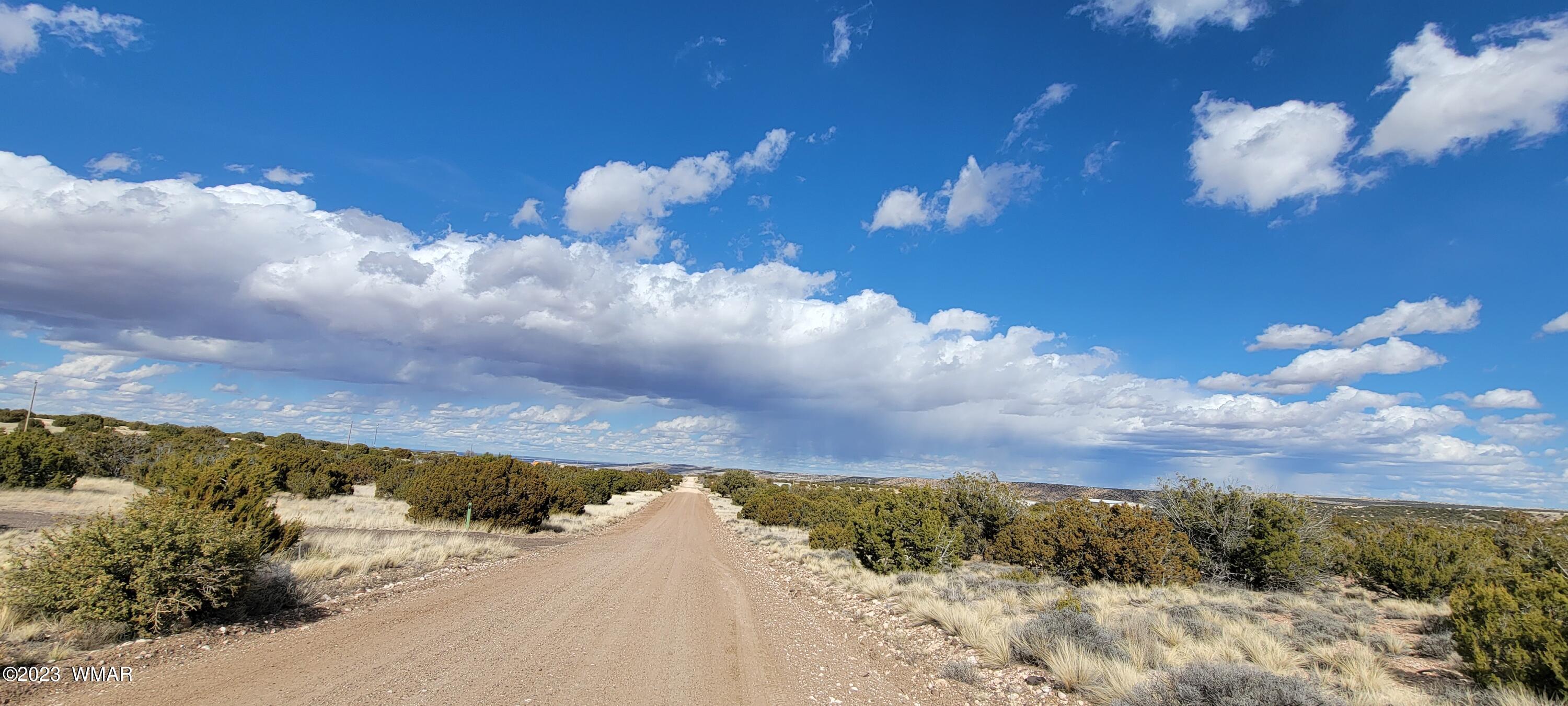 56 County Road Concho, AZ 85924 - Photo 1 of 7 20230312_150438