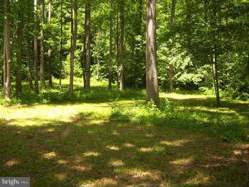 194 View Lane Augusta, WV 26704 - Photo 17 of 25 a view of backyard with green space