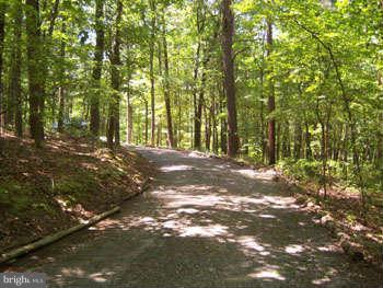194 View Lane Augusta, WV 26704 - Photo 9 of 25 a view of road and trees