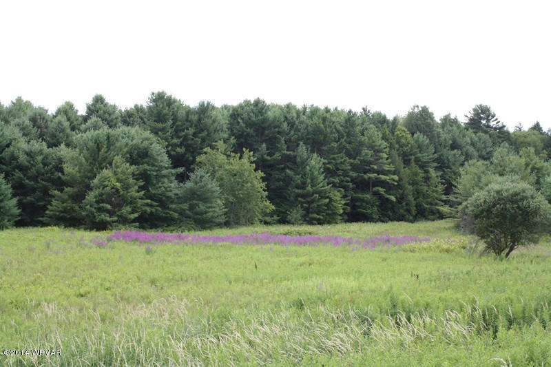 Lot 1 362nd Route Wellsboro, PA 16901 - Photo 6 of 9 125787-06