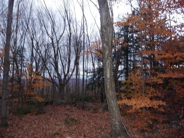 0 Pillsbury Road Strong, ME 04983 - Photo 3 of 11 Definitely can have mountain views...