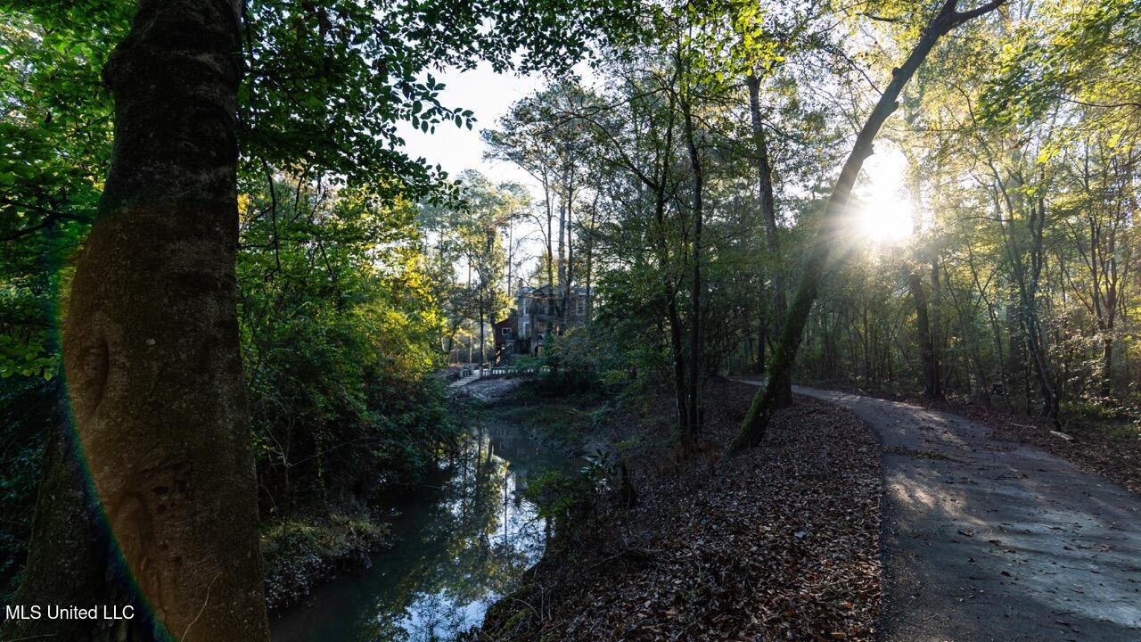 6641 Grange Hall Road Osyka, MS 39657 - Photo 12 of 42 ZTS07150 Large