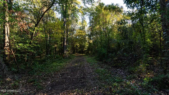 $1,150,000 | 6641 Grange Hall Road, Osyka, MS 39657