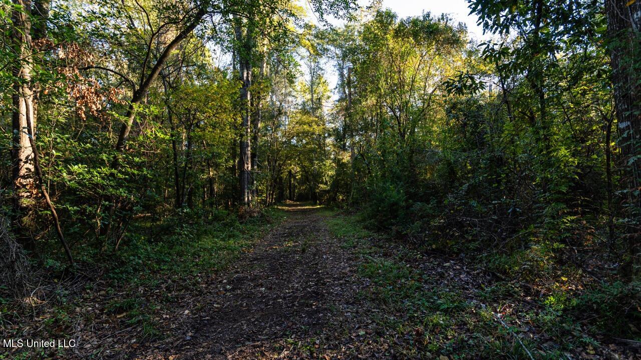 6641 Grange Hall Road Osyka, MS 39657 - Photo 13 of 42 ZTS07152 Large