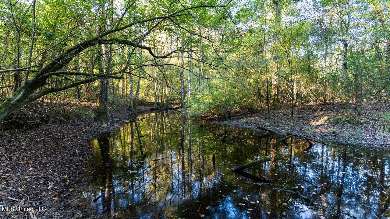 6641 Grange Hall Road Osyka, MS 39657 - Photo 15 of 42 ZTS07157 Large