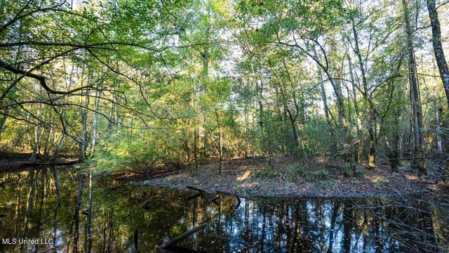 $1,150,000 | 6641 Grange Hall Road, Osyka, MS 39657