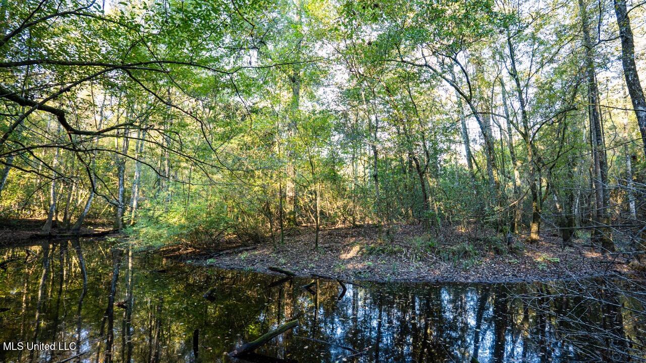6641 Grange Hall Road Osyka, MS 39657 - Photo 16 of 42 ZTS07160 Large