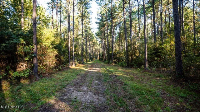 $1,150,000 | 6641 Grange Hall Road, Osyka, MS 39657