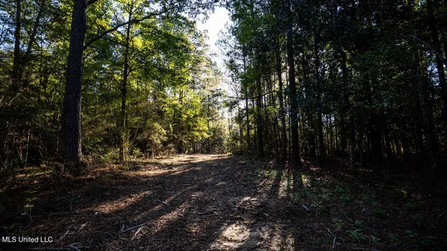 $1,150,000 | 6641 Grange Hall Road, Osyka, MS 39657