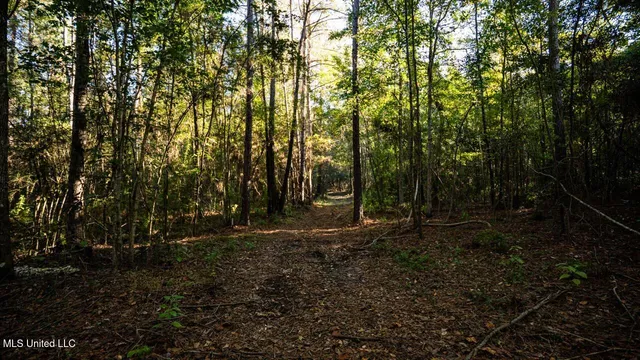 $1,150,000 | 6641 Grange Hall Road, Osyka, MS 39657