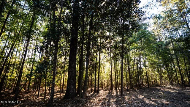 $1,150,000 | 6641 Grange Hall Road, Osyka, MS 39657