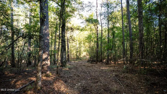 $1,150,000 | 6641 Grange Hall Road, Osyka, MS 39657