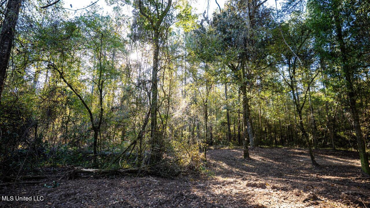 6641 Grange Hall Road Osyka, MS 39657 - Photo 37 of 42 ZTS07215 Large