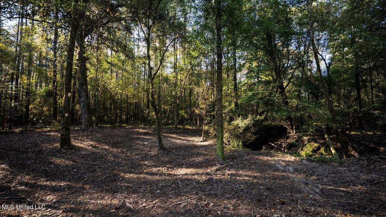 6641 Grange Hall Road Osyka, MS 39657 - Photo 38 of 42 ZTS07216 Large