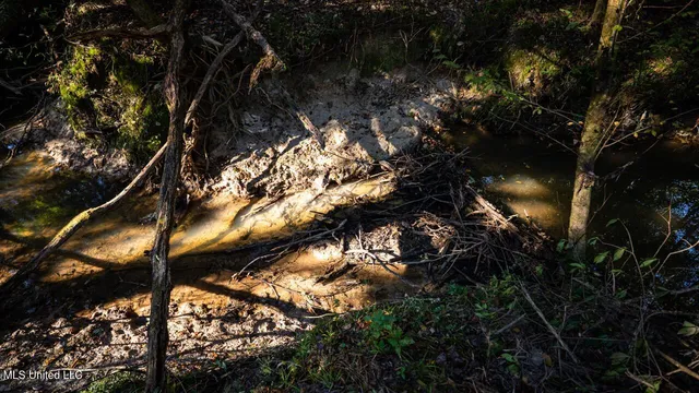 $1,150,000 | 6641 Grange Hall Road, Osyka, MS 39657