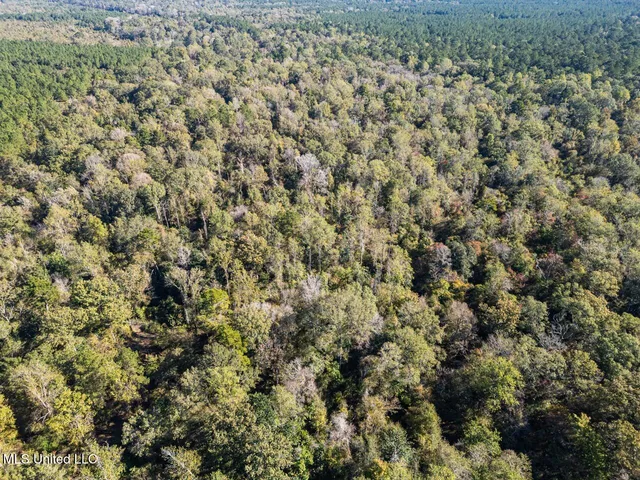 $1,150,000 | 6641 Grange Hall Road, Osyka, MS 39657