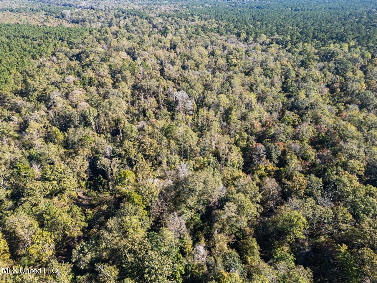 6641 Grange Hall Road Osyka, MS 39657 - Photo 4 of 42 DJI_0914 Large