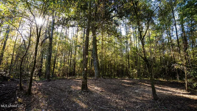 $1,150,000 | 6641 Grange Hall Road, Osyka, MS 39657