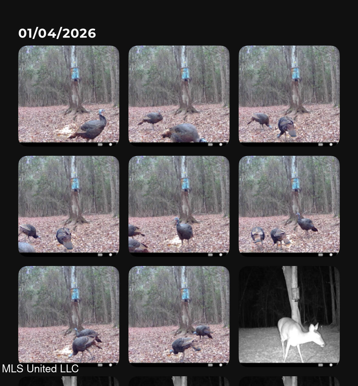 6641 Grange Hall Road Osyka, MS 39657 - Photo 43 of 46 IMG_1144