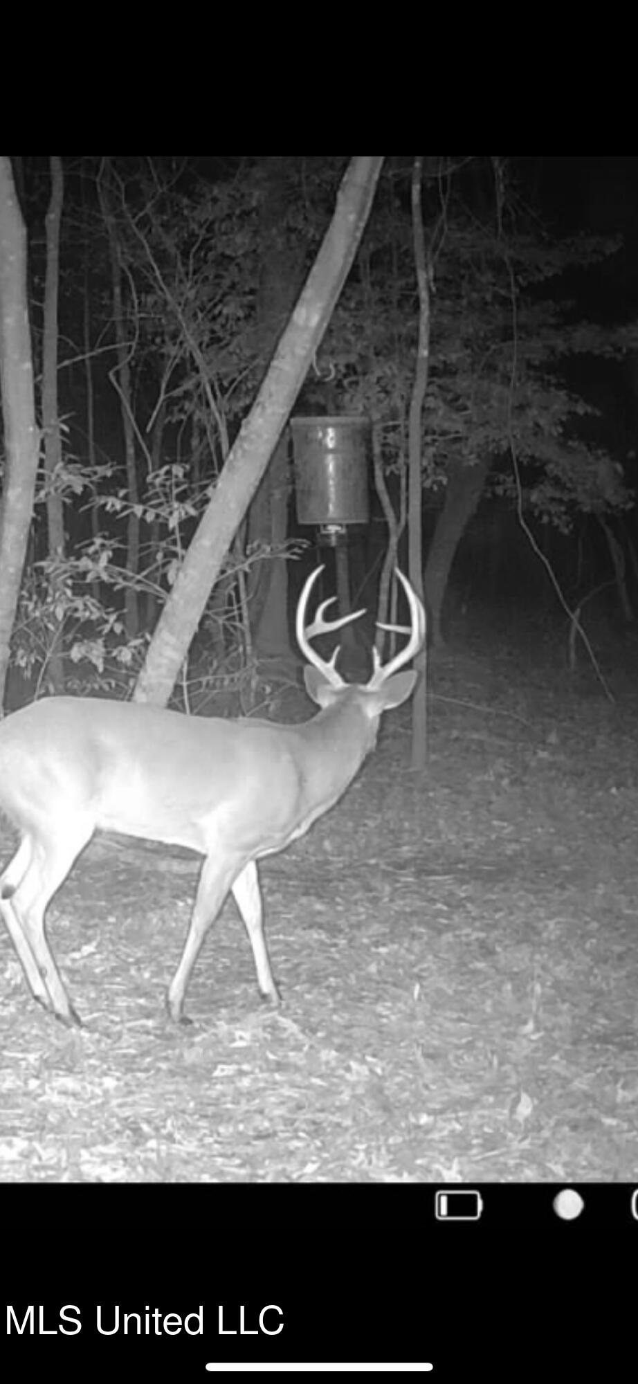 6641 Grange Hall Road Osyka, MS 39657 - Photo 44 of 46 IMG_1150