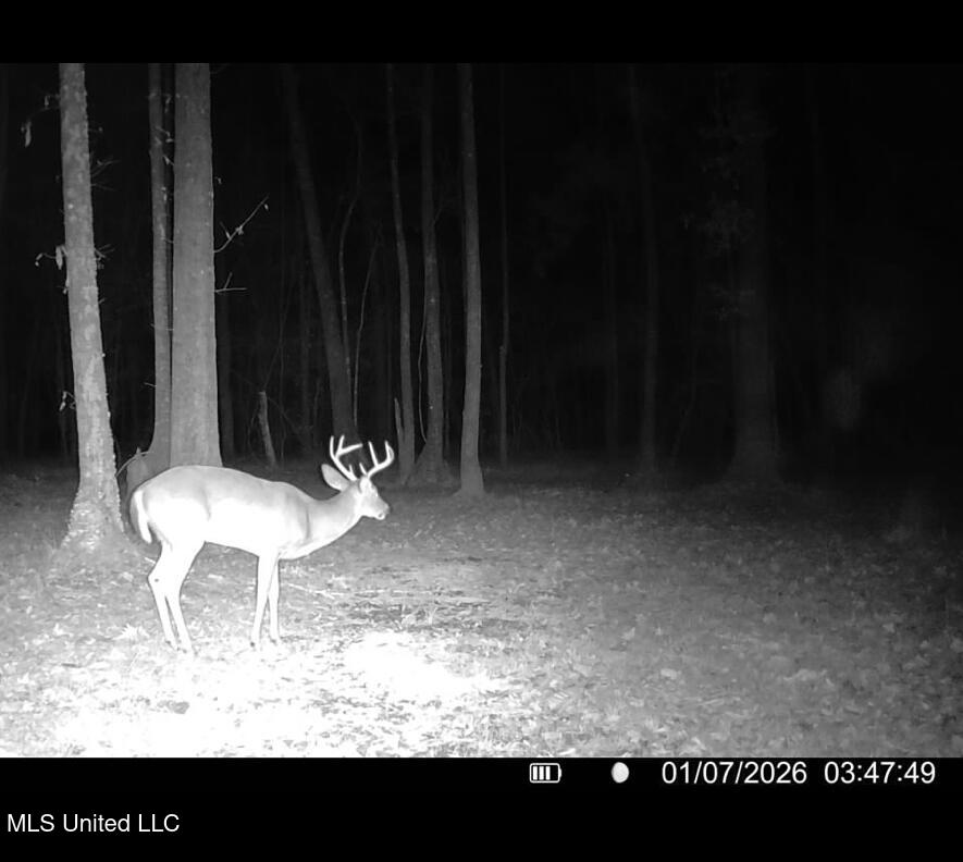 6641 Grange Hall Road Osyka, MS 39657 - Photo 45 of 46 IMG_1165