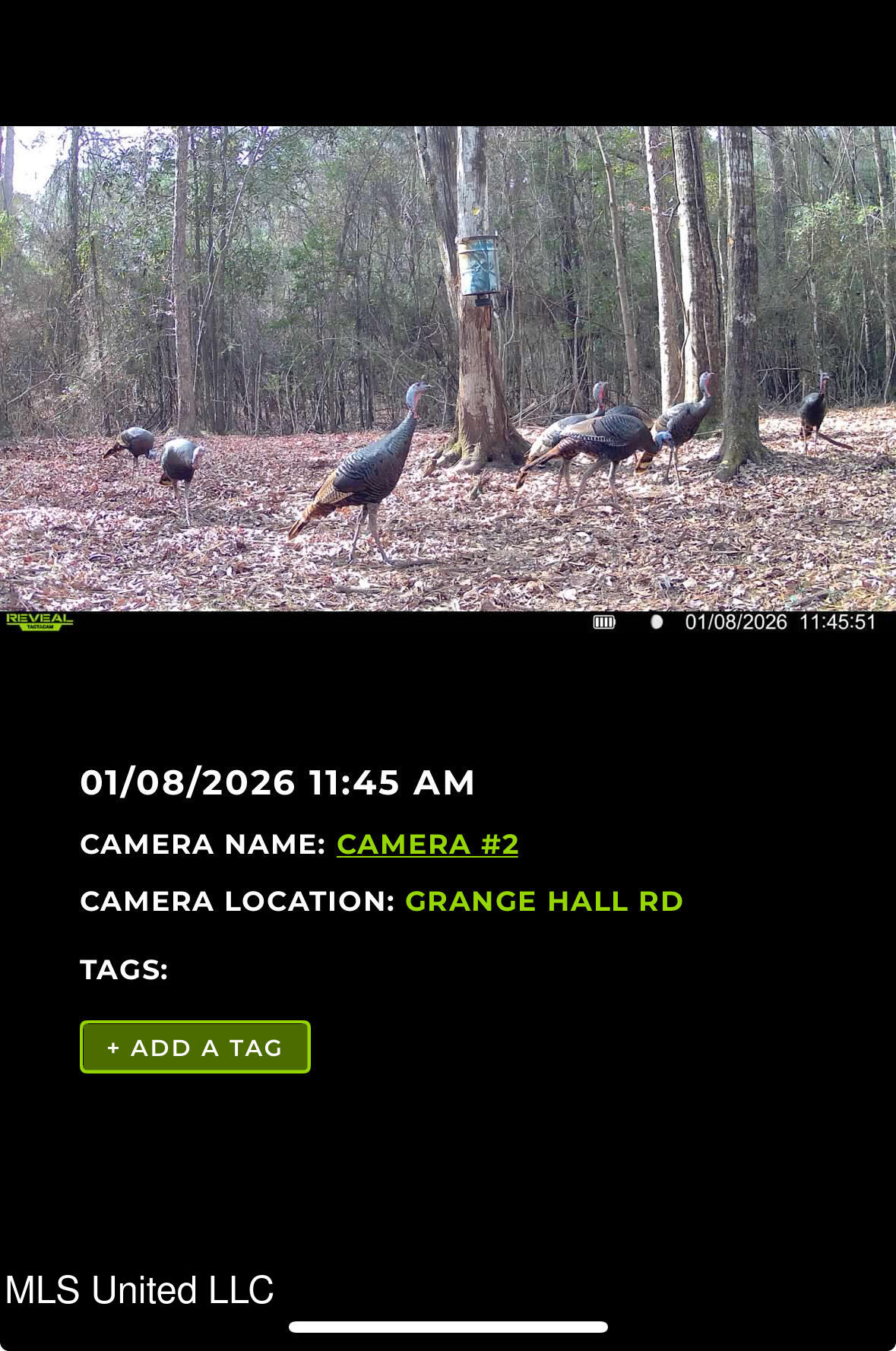 6641 Grange Hall Road Osyka, MS 39657 - Photo 46 of 46 IMG_1172