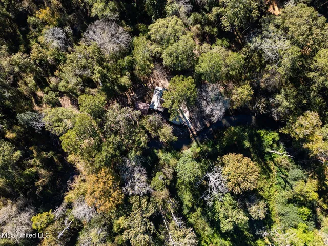 $1,150,000 | 6641 Grange Hall Road, Osyka, MS 39657