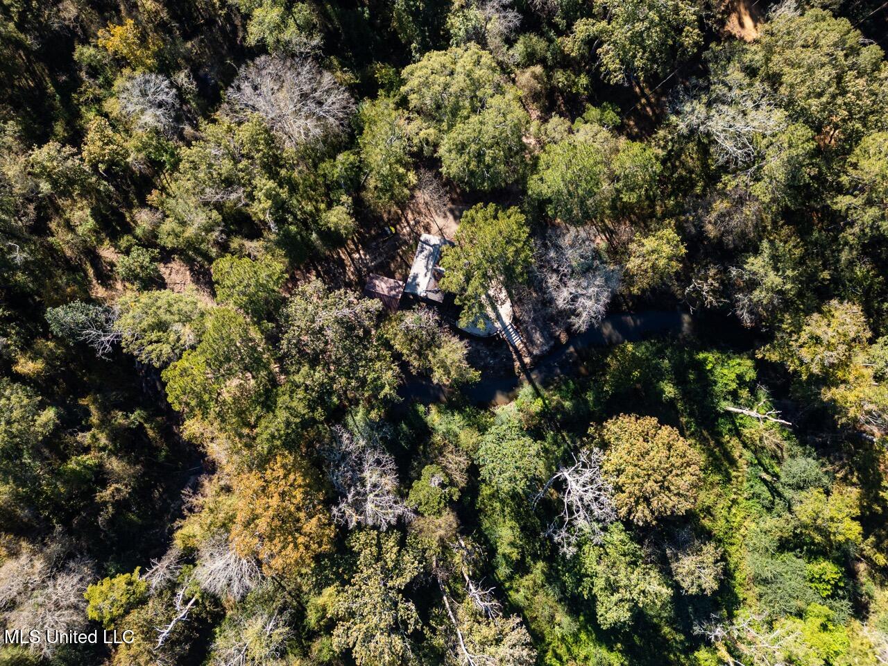 6641 Grange Hall Road Osyka, MS 39657 - Photo 5 of 42 DJI_0919 Large