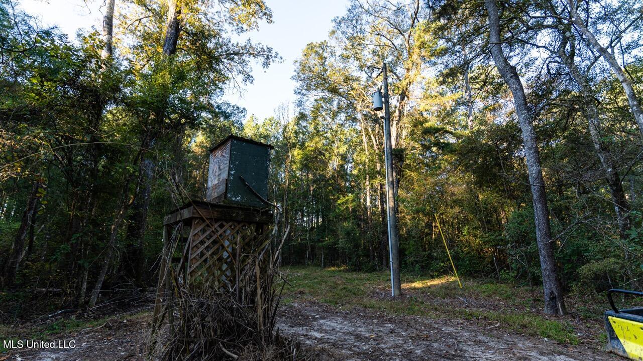 6641 Grange Hall Road Osyka, MS 39657 - Photo 7 of 42 ZTS07137 Large