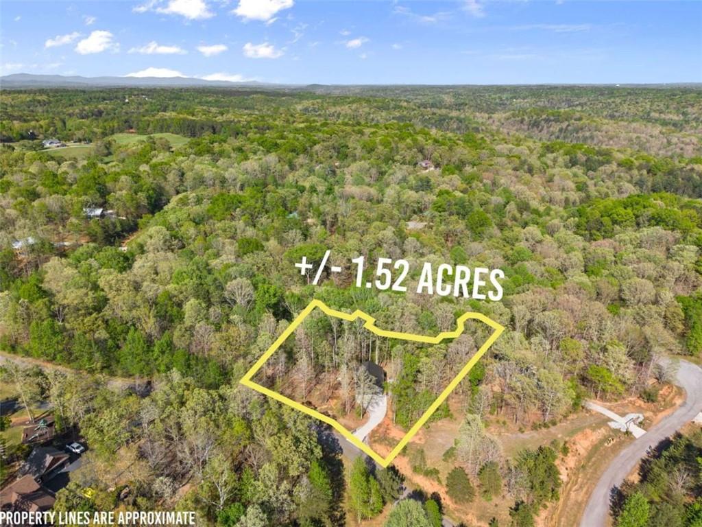 162 Hickory Ridge Drive Cleveland, GA 30528 - Photo 21 of 46