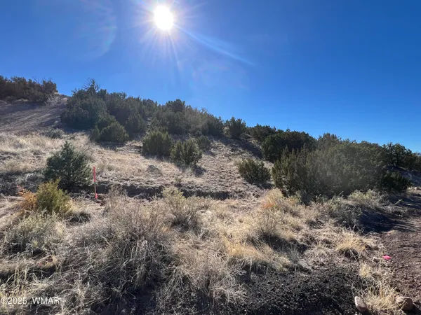 $39,000 | Lot 14 Starlite Drive, Eagar, AZ 85925
