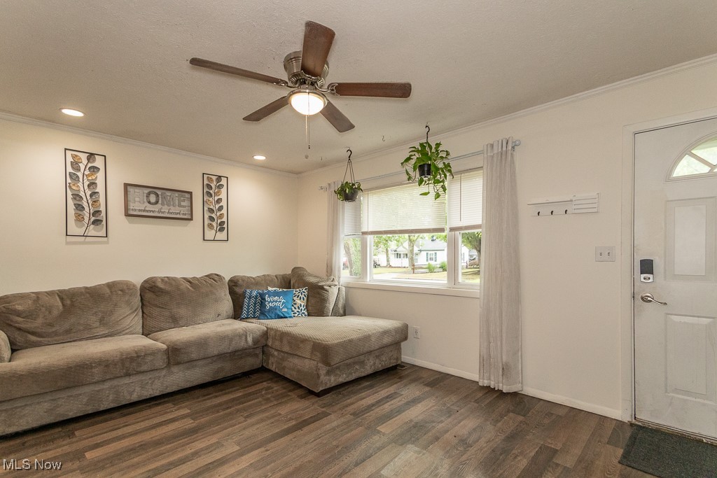 4973 Orchard Road Mentor, OH 44060 - Photo 5 of 30 Living area featuring dark wood-type flooring, ornamental molding, a ceiling fan, and a textured ceiling