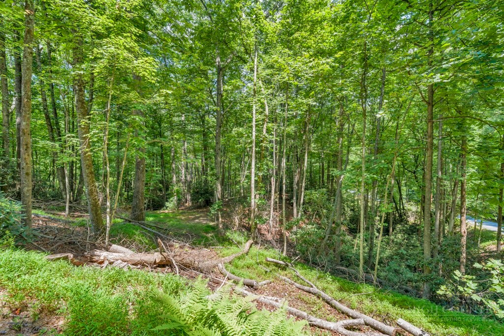 11-14 Powder Horn Mountain Road Deep Gap, NC 28618 - Photo 7 of 38