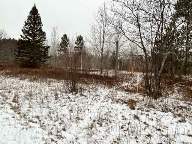 Tbd5 Larson Road Atlantic Mine, MI 49905 - Photo 56 of 56 Gallery Image 56