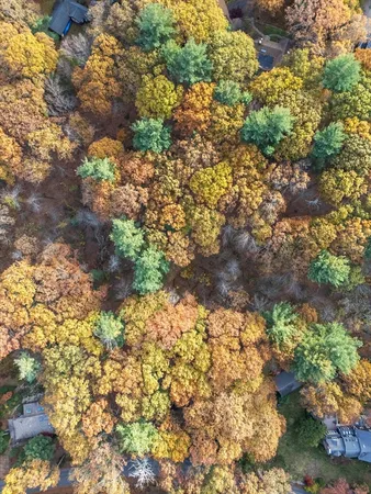 $725,000 | 89 Lexington Road, Lincoln, MA 01773