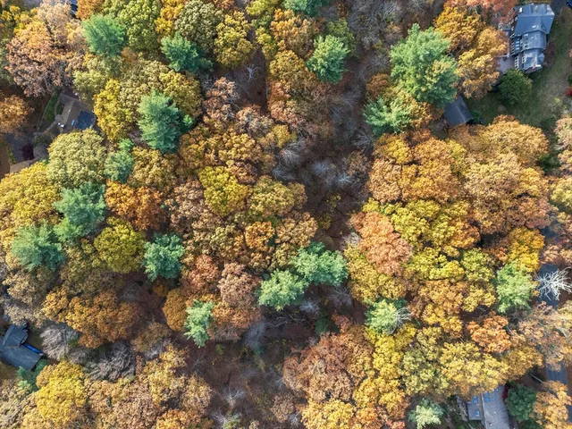 $725,000 | 89 Lexington Road, Lincoln, MA 01773