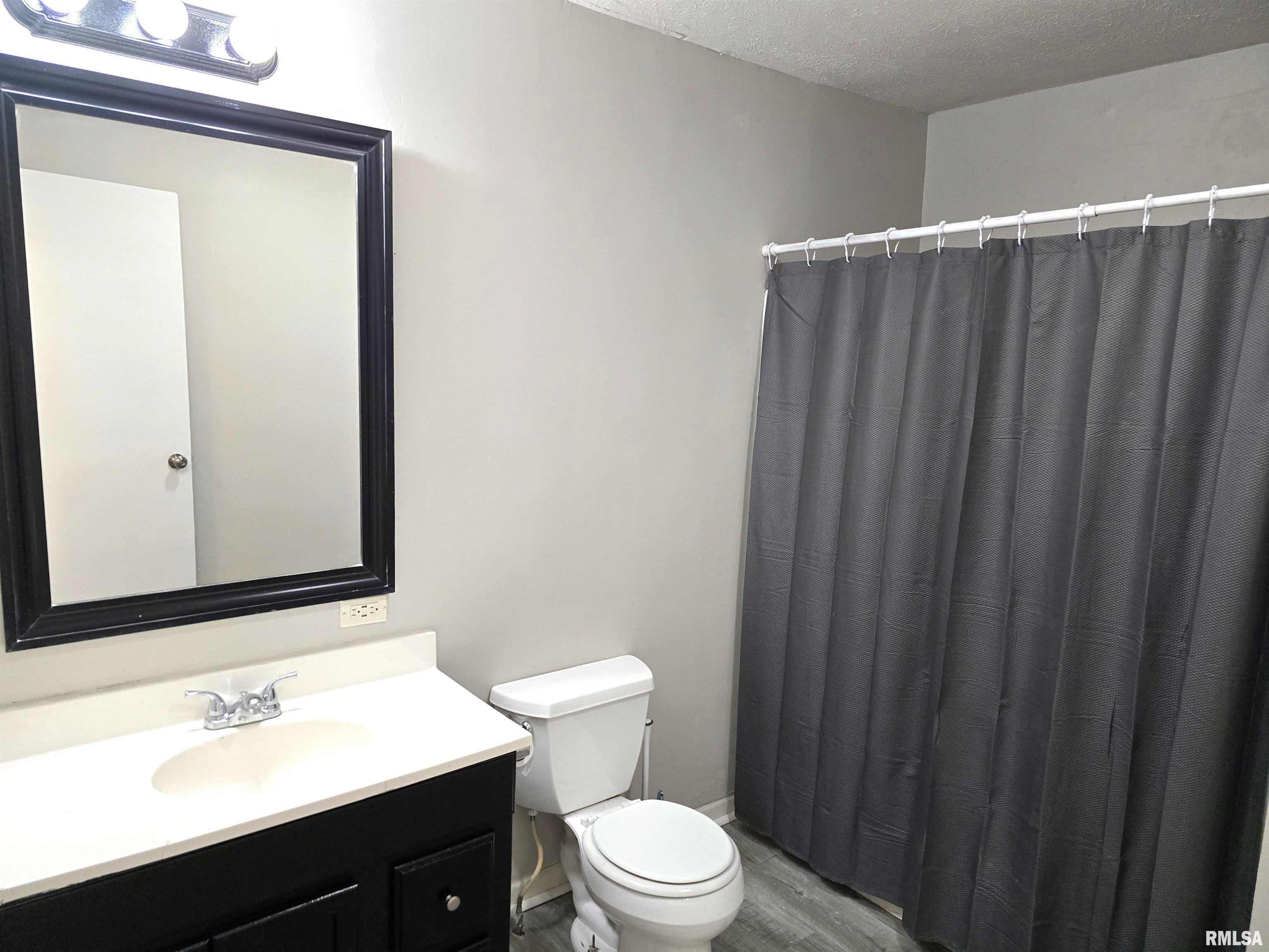 121 East Main Street Williamsville, IL 62693 - Photo 11 of 24