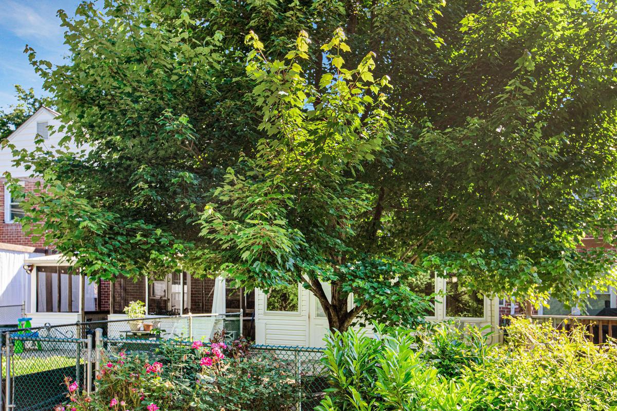 1016 Winsford Road Towson, MD 21204 - Photo 38 of 42 a view of garden with plants and large trees