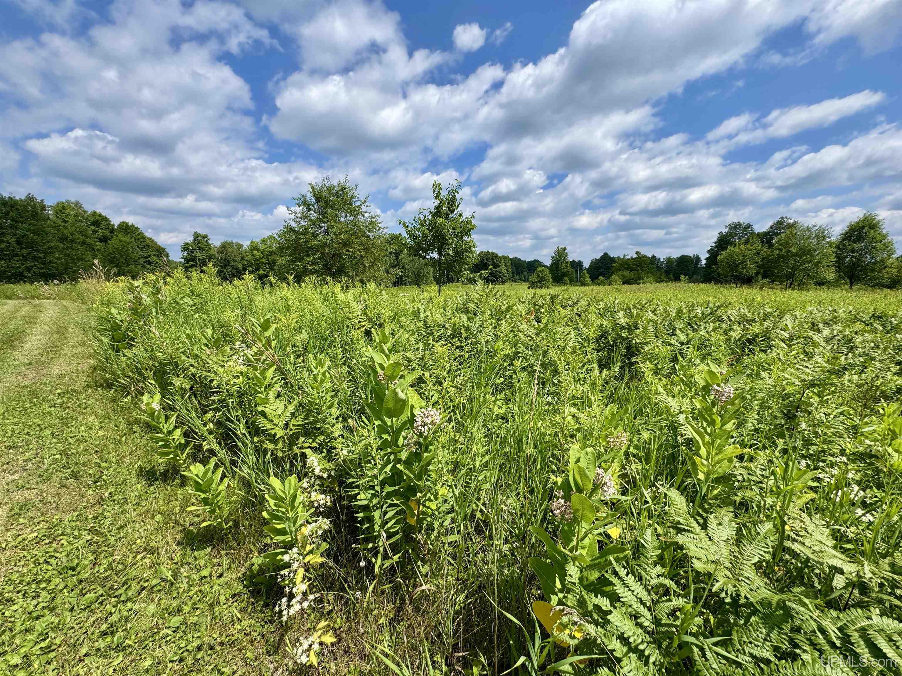 289 Wright Road Crystal Falls, MI 49920 - Photo 51 of 57 Gallery Image 51