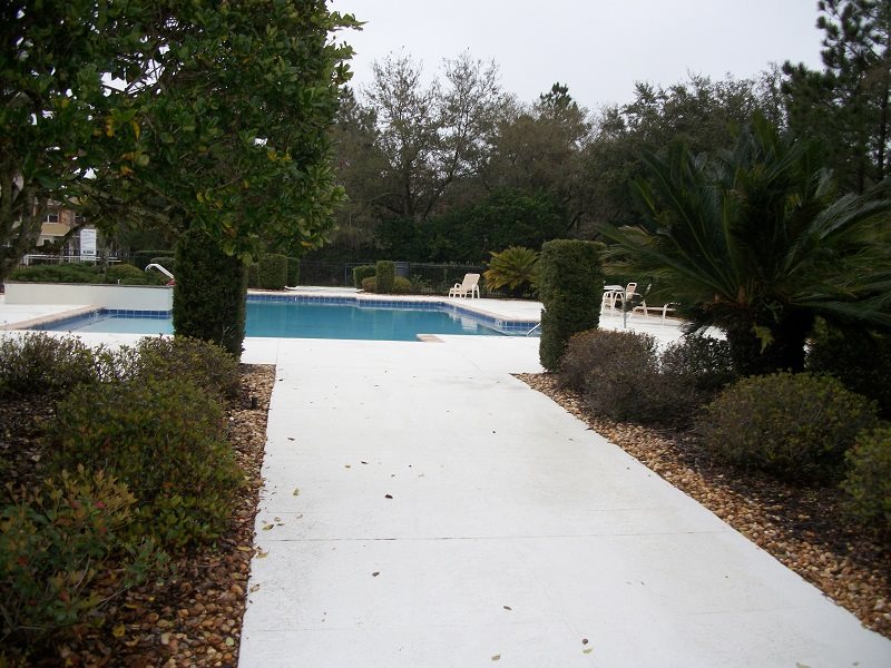 128 St Andrews Pl Drive St. Augustine, FL 32092 - Photo 38 of 38 a view of a yard with plants and large trees