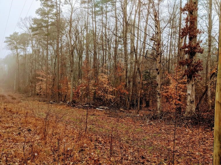 43 Lewis Road Clarksville, VA 23927 - Photo 3 of 13 Photo 3